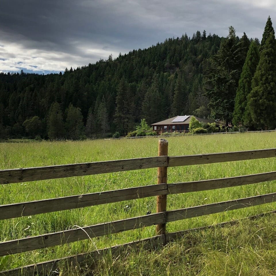 ranch house from driveway with large hay field in the foreground