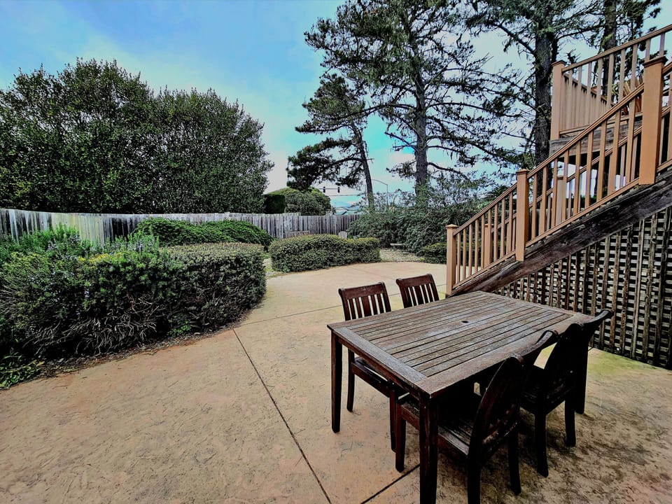 Backyard area
