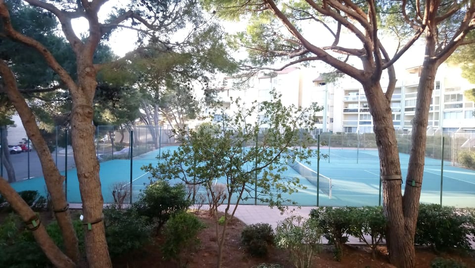 Sport court