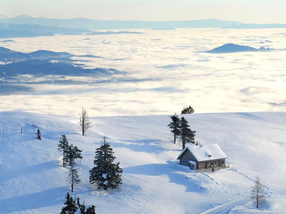 Ferienwohnung 1 bis 3 Personen - Gästehaus Duregger Bed and Breakfast in Villach