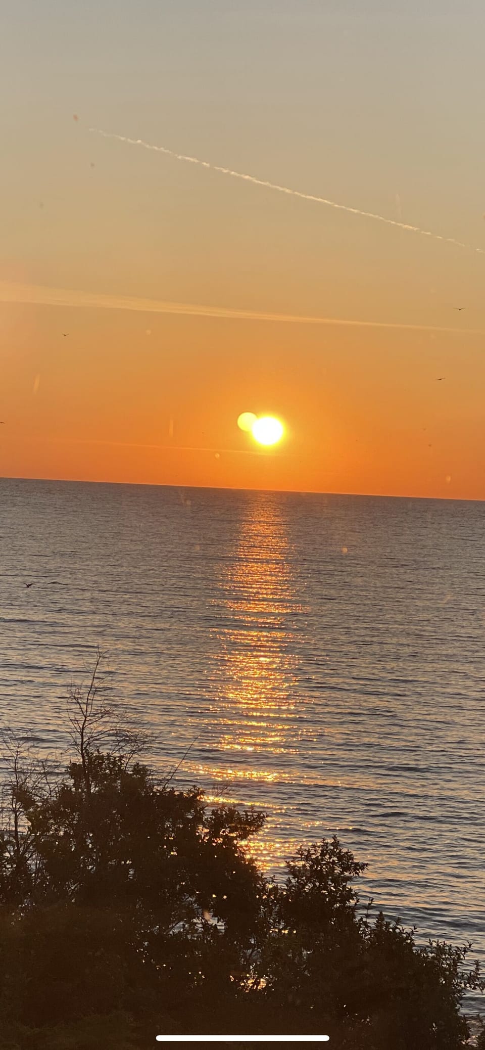Sunrise from family room 