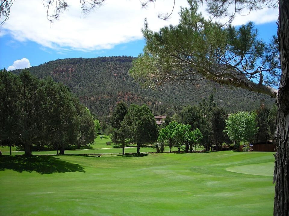 Golf course 