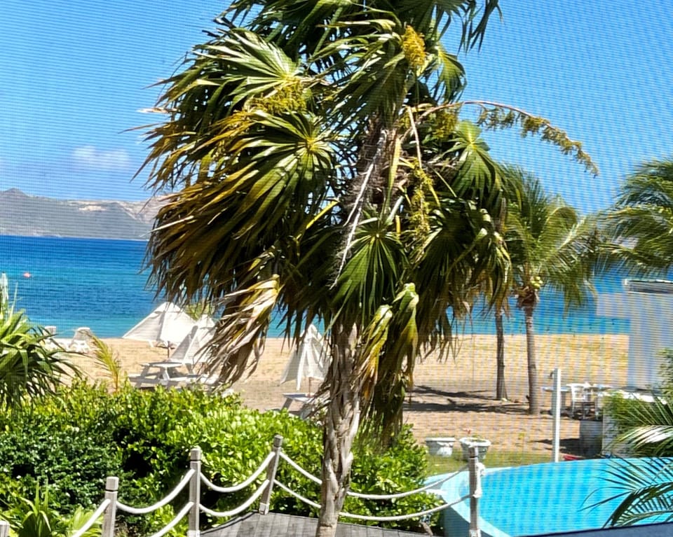 Infinity Pool and Beach from the back porch