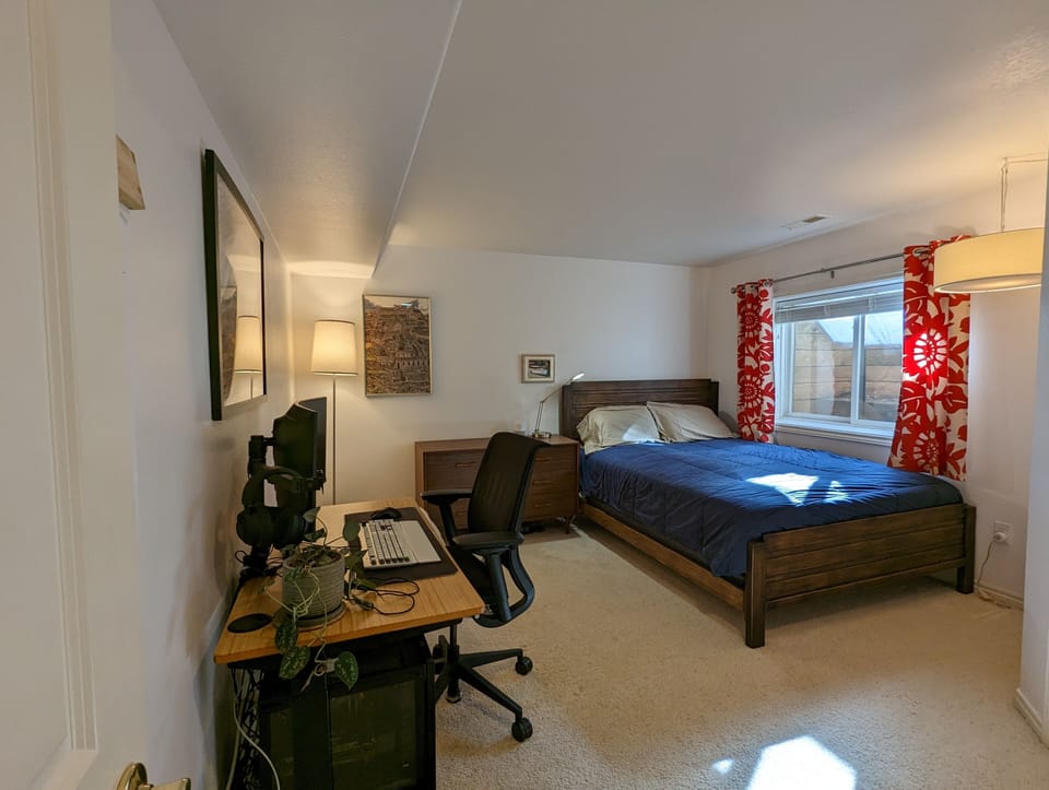 Second basement bedroom with spacious egress windows for plenty of light.