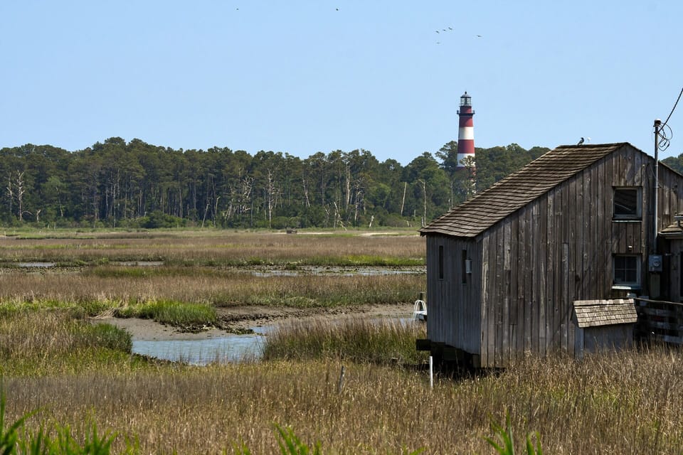 Take in stunning Views of the Assateague Channel, Assateague Island, and of course, Assateague Light!