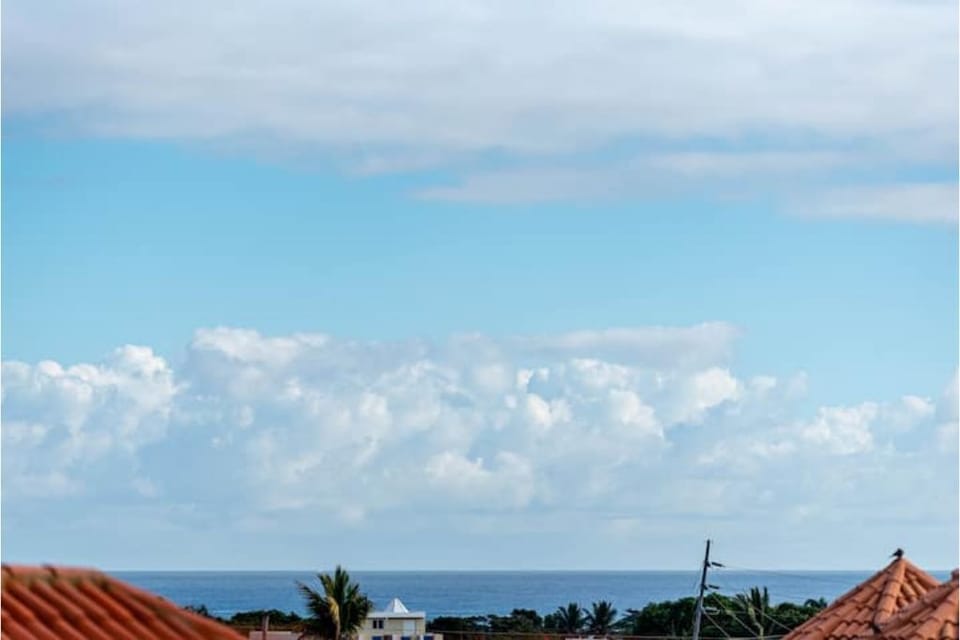 Beach/ocean view