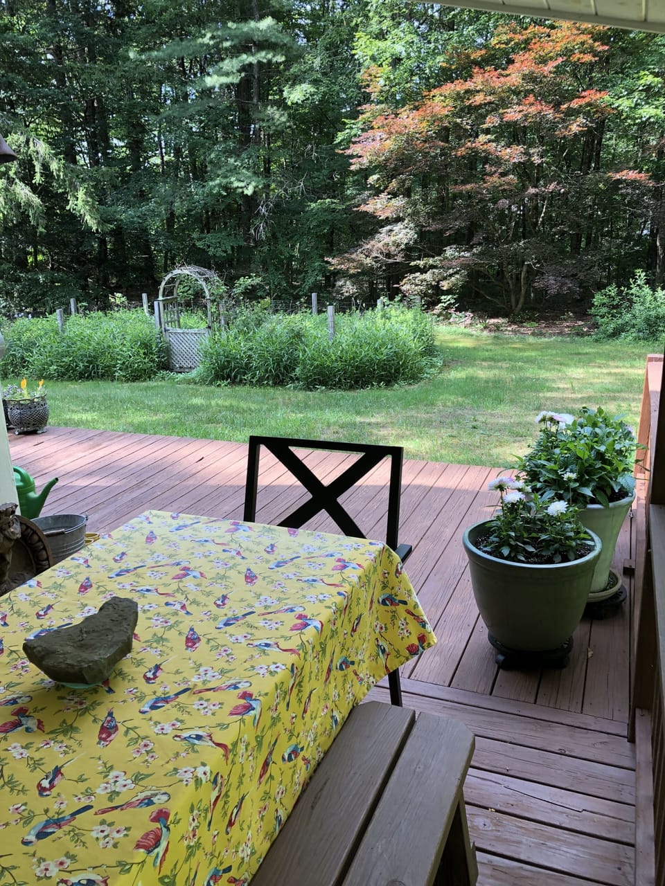 Outdoor dining