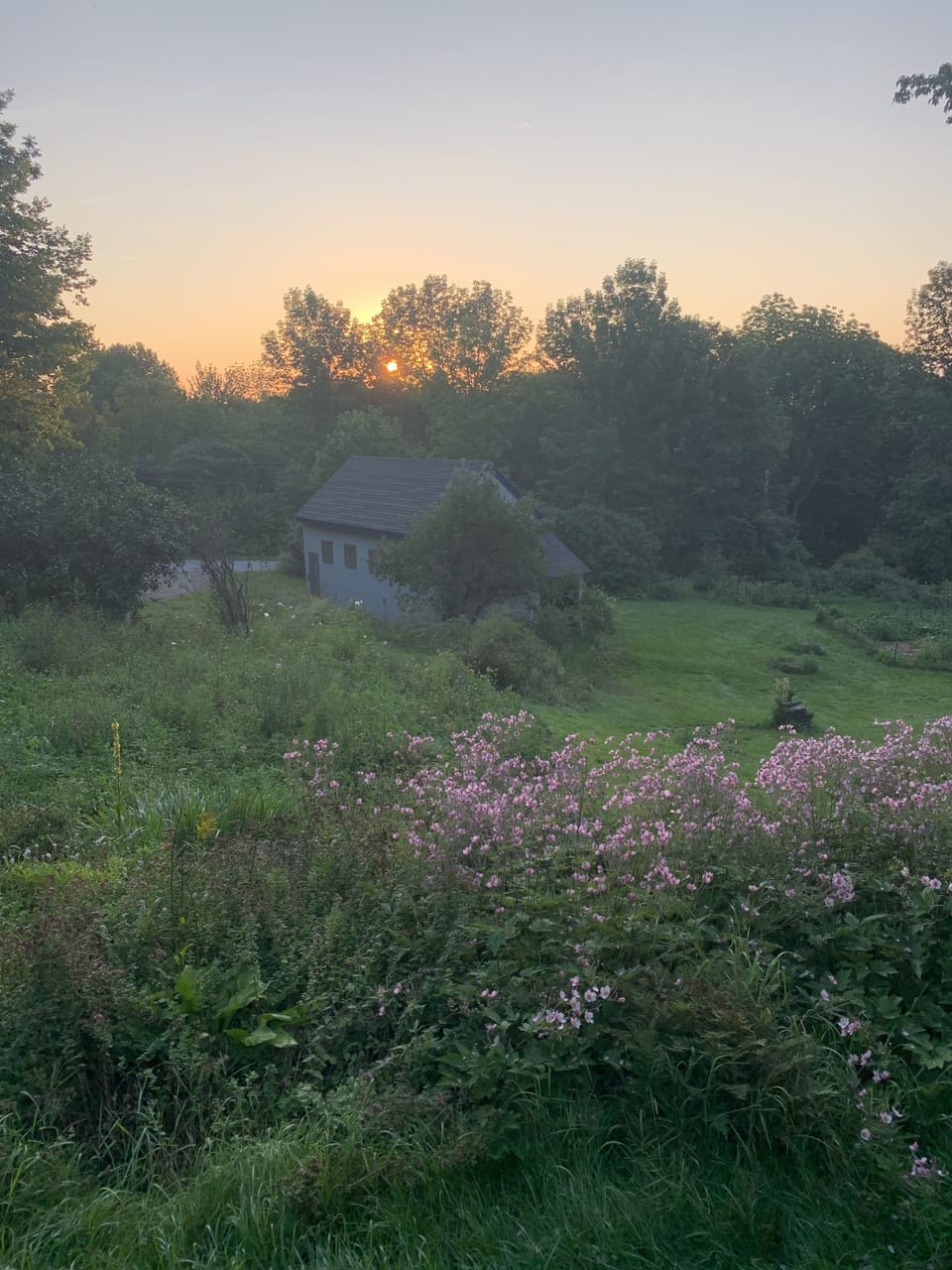 Sunrise view from the deck