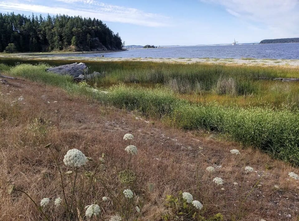 Short walk to Irondale County Beach Park