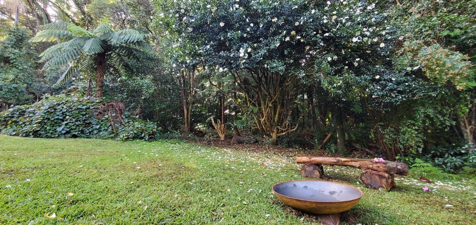 Fire pit area, adjacent to the backyard (Springbrook National Park).