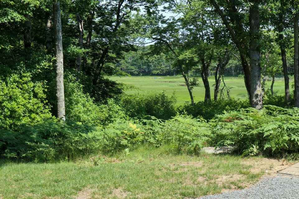 View From Bike Trail