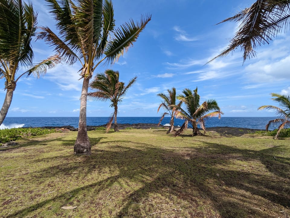 Large yard to have picnics or layout under the sun or the stars