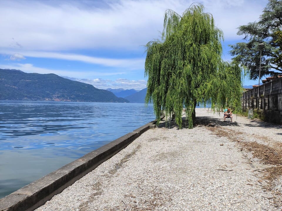 Cloud, Water, Sky, Wood, Lake, Road Surface, Tree, Coastal And Oceanic Landforms, Body Of Water, Bank