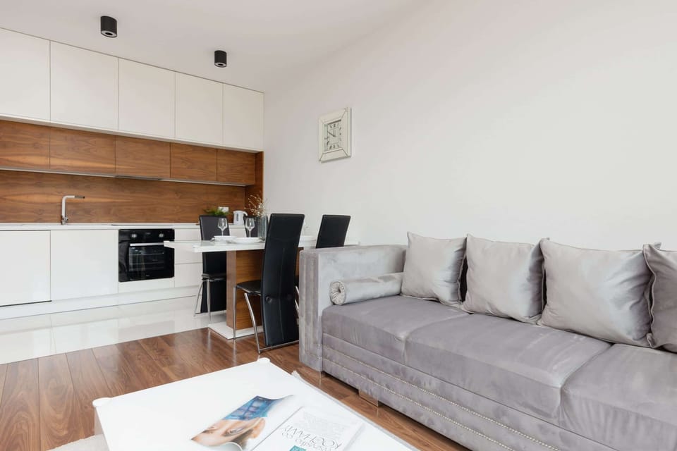 Comfortable, fold-out sofa in the living room. 