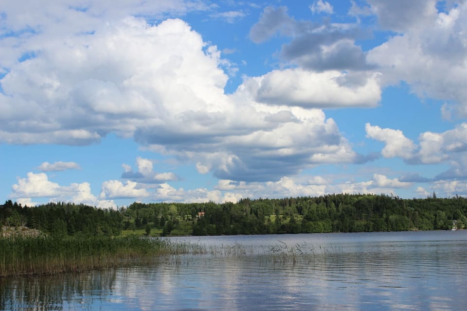 The lake, Ylen