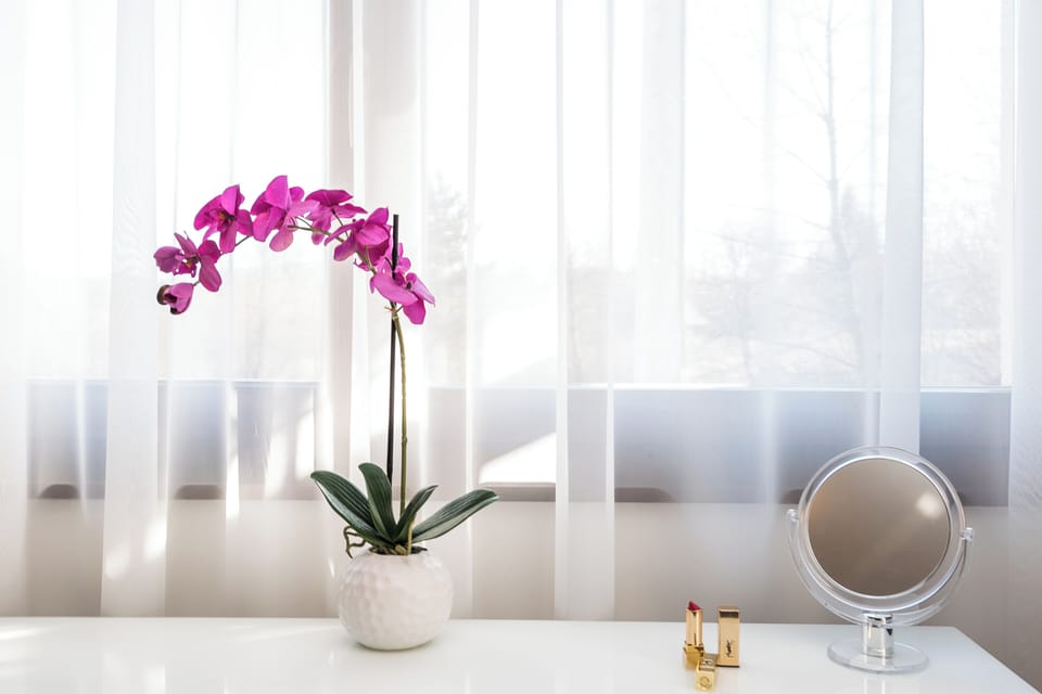 Peaceful Atmosphere and Comfort