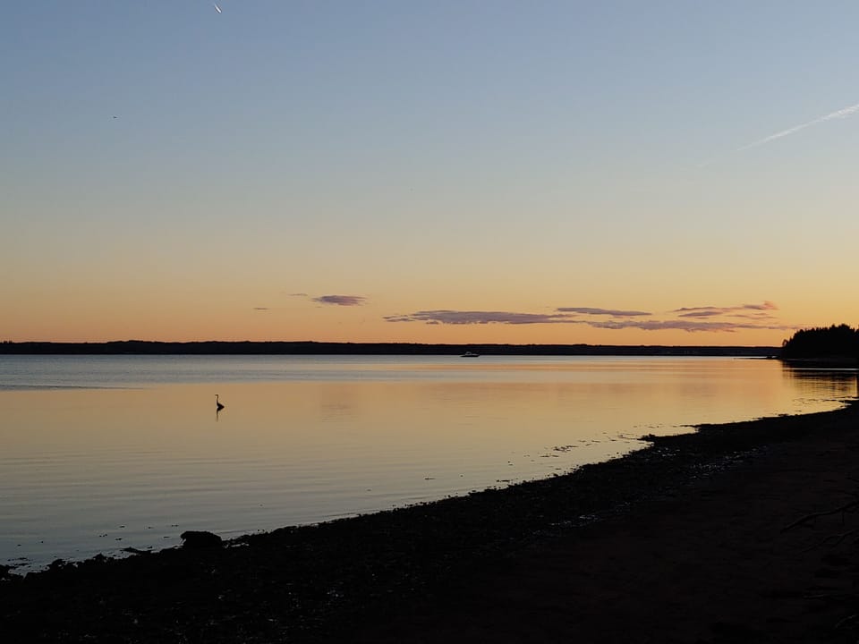 St. Mary's Bay at sunset with our friend, Aaron and Heron