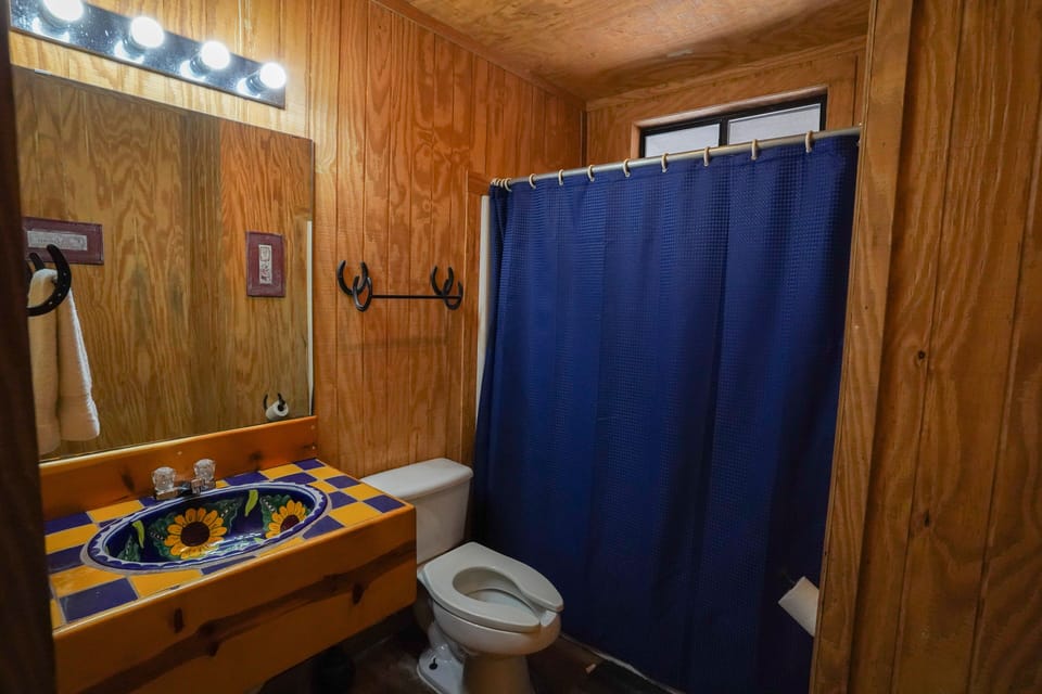 Bathroom view