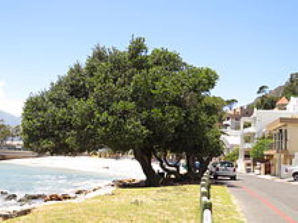Bikini beach