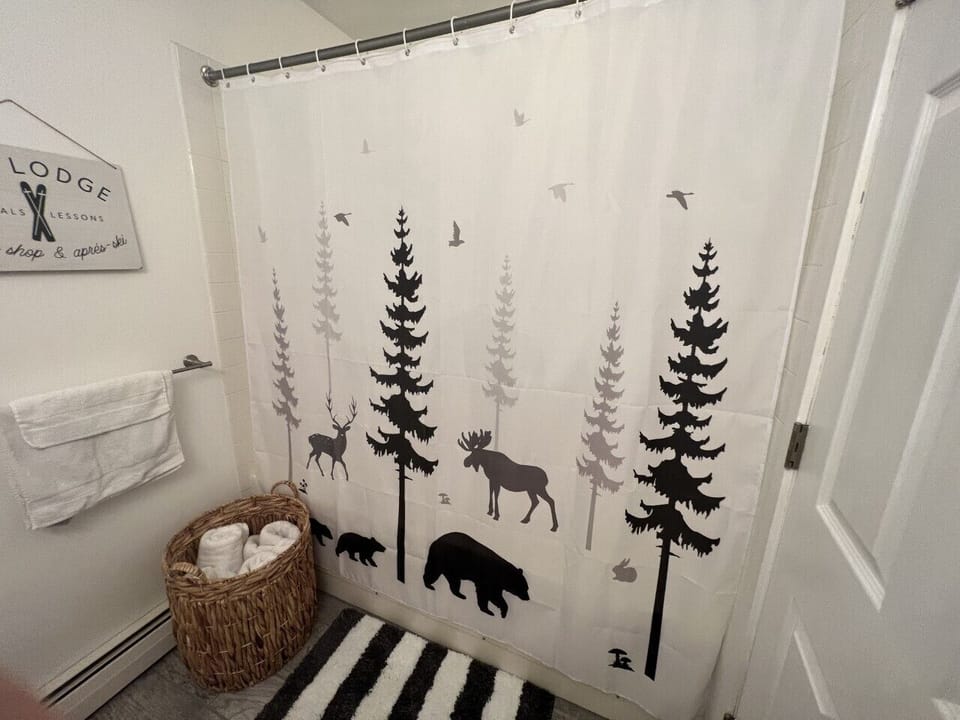 Master bathroom full shower and tub