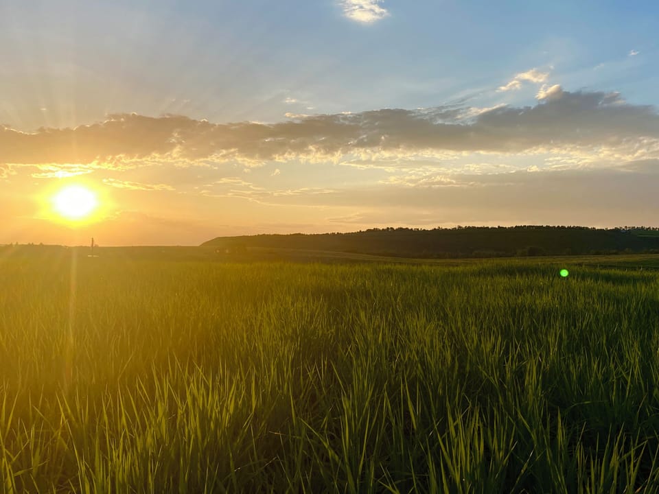 Stunning sunsets