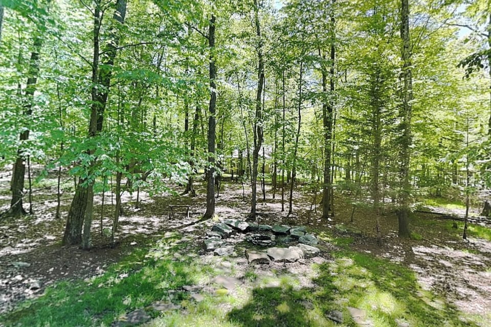 Wooded Views Off The Deck