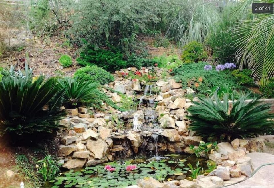 backyard waterfall with fish pond 