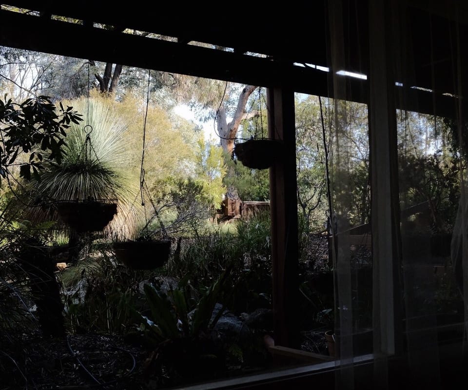 View from property