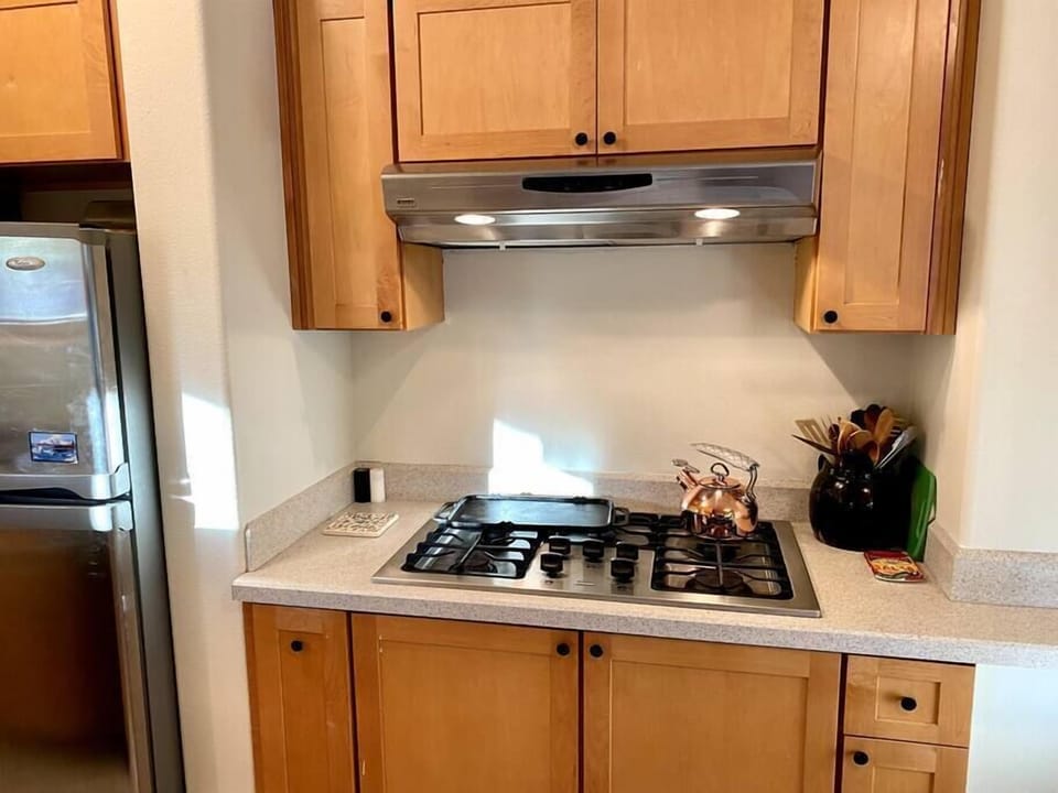 Kitchen with built in stove burner and cabinets