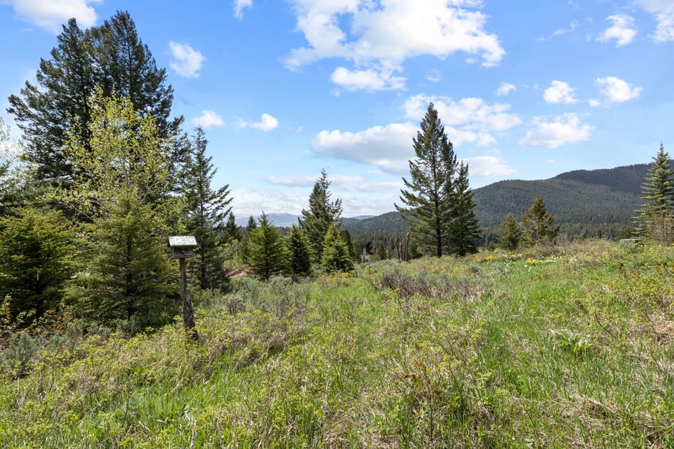 Back of House Mountain Views