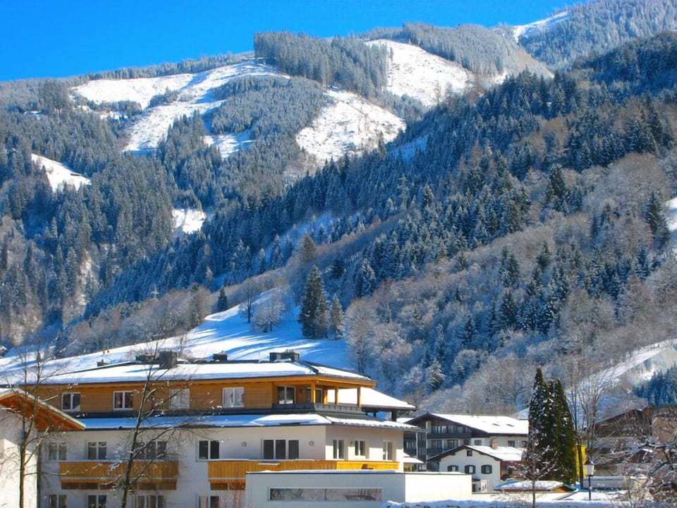 Main view