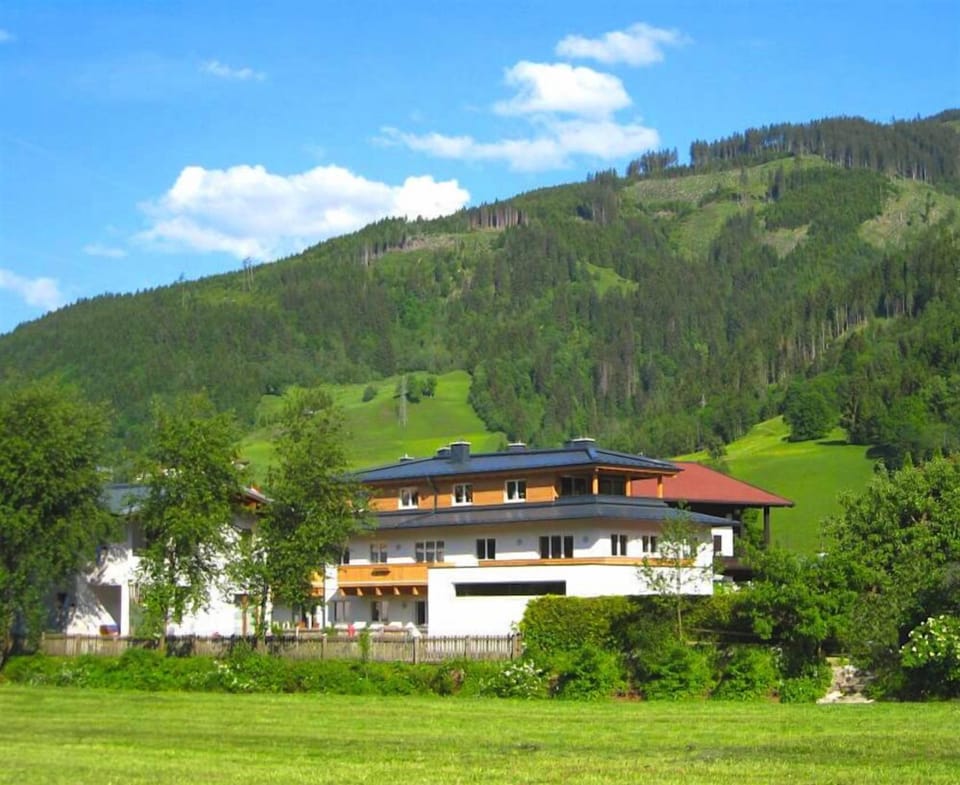 Main view