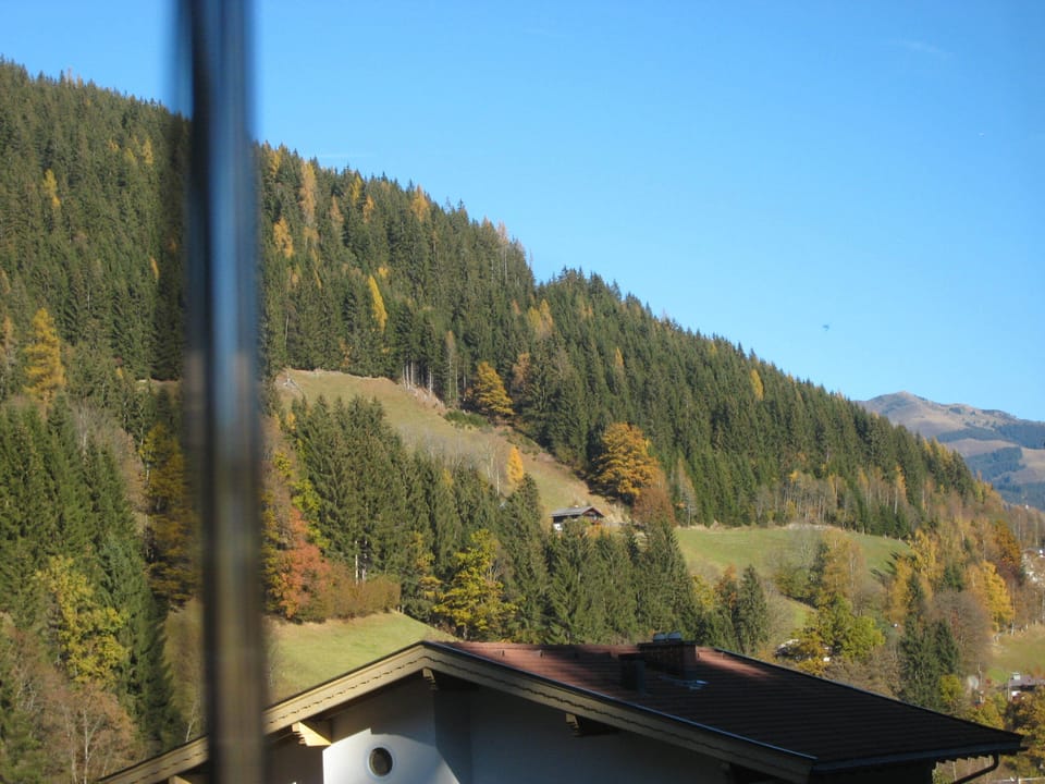 Scenery