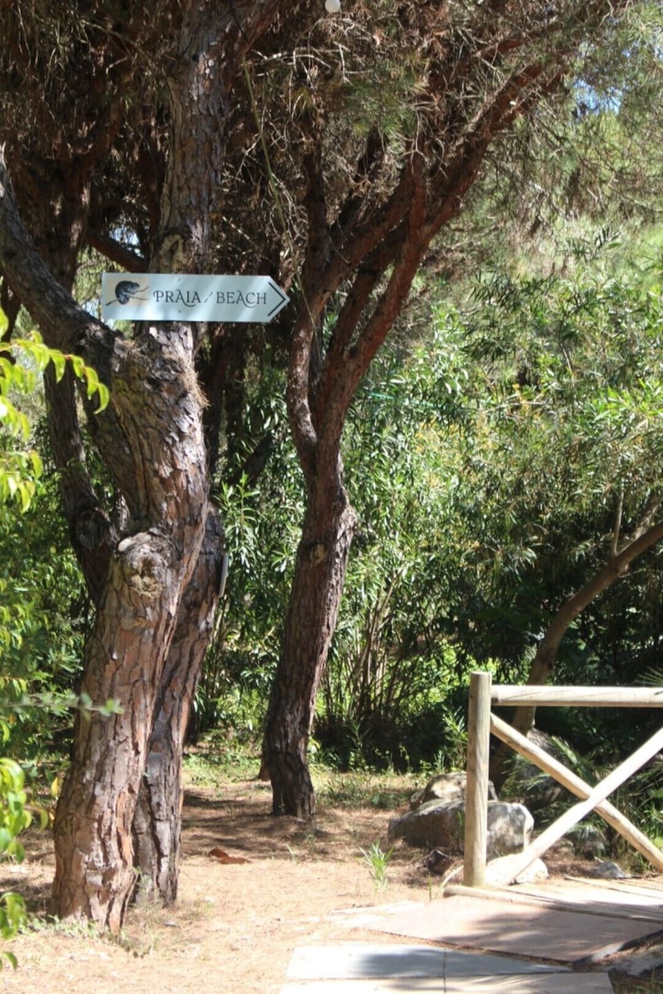 Path to the beach