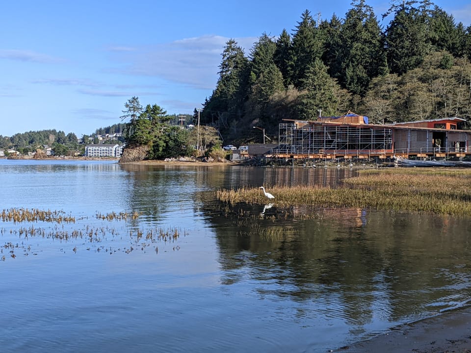 An egret in the bay, hunting.