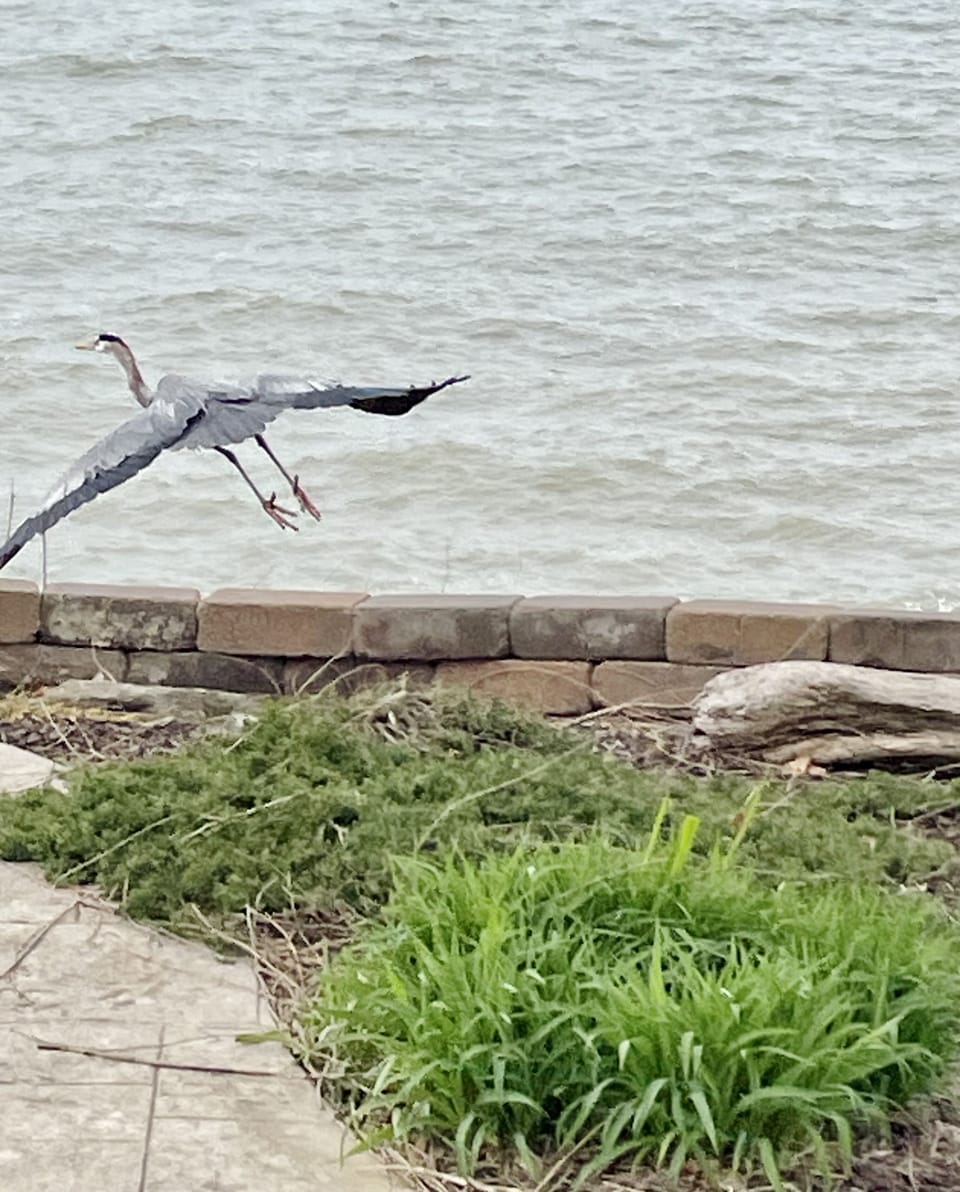 A crane leaving the yard next door
