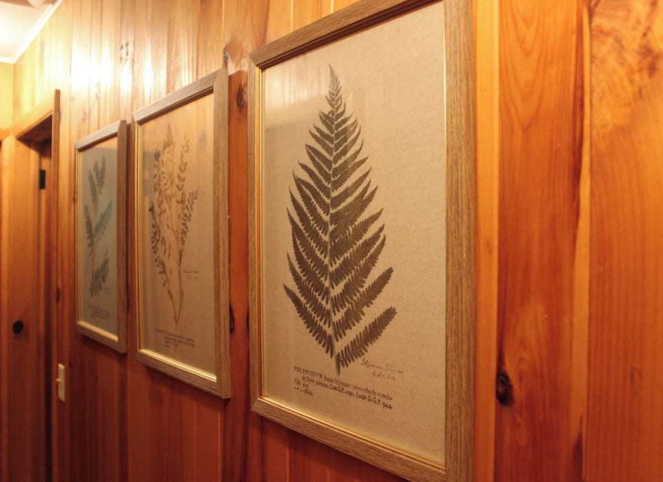 Vintage botanical prints line the warm wood-paneled walls, adding a nature-inspired touch throughout the cabin.