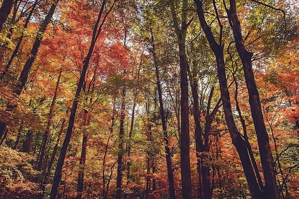 Explore colorful seasonal trails just minutes from your stay.