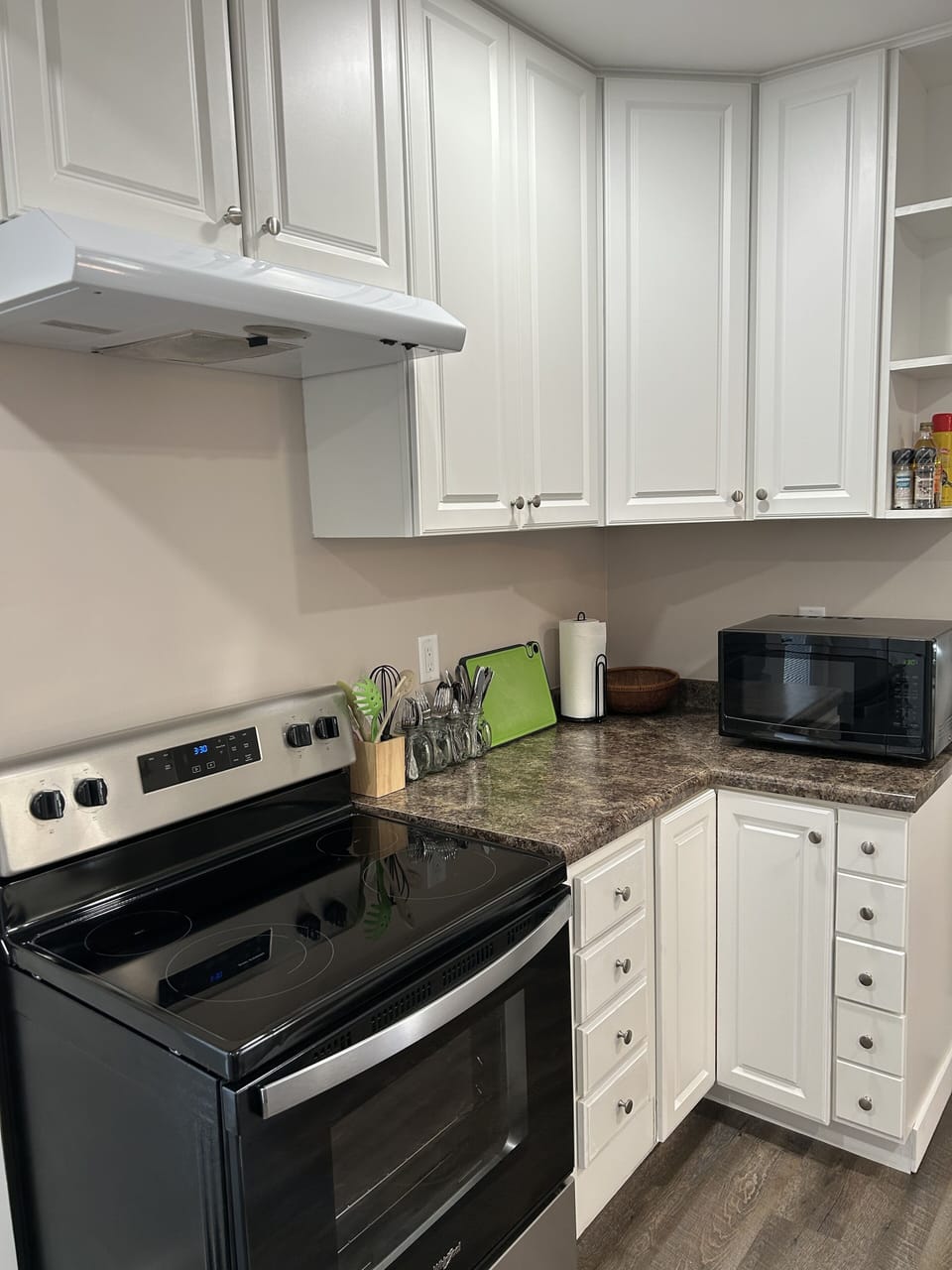 Fully stocked kitchen - stove, microwave, dishwasher, refrigerator