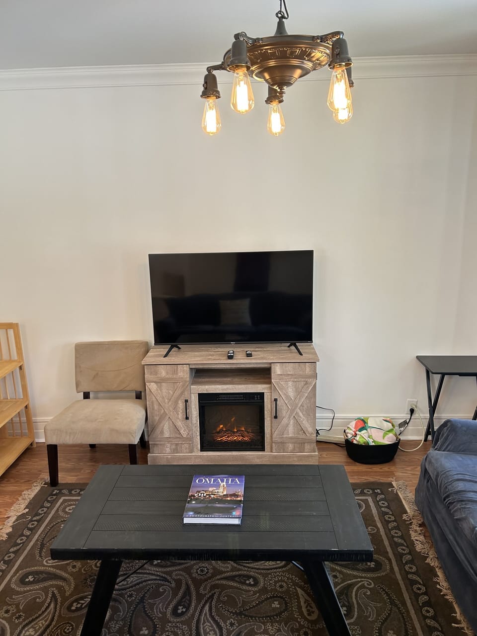Living room with TV, books, electric fireplace