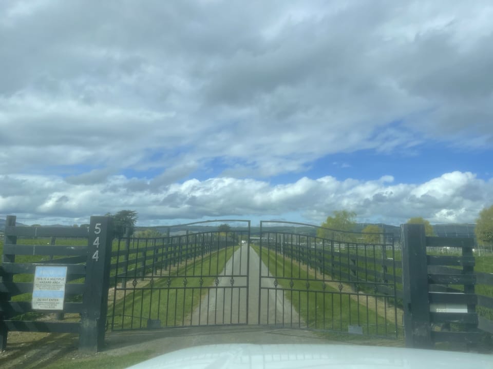 View from property