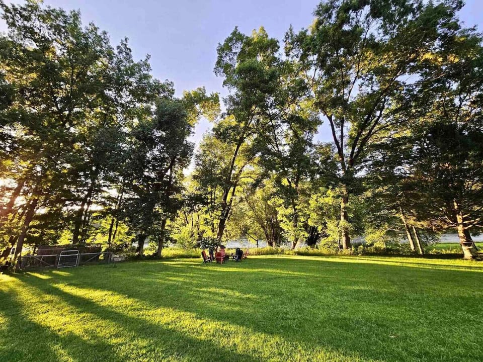 Firepit surrounded by trees