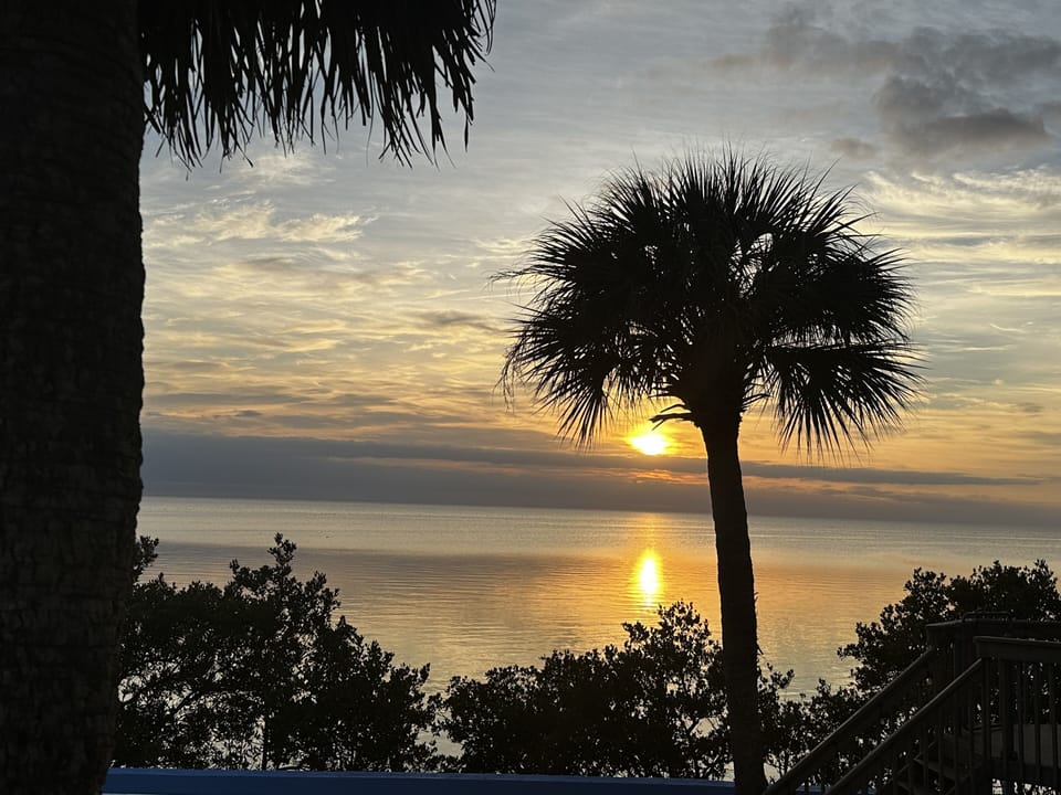 Life changing sunset views! (Often with dolphins!)