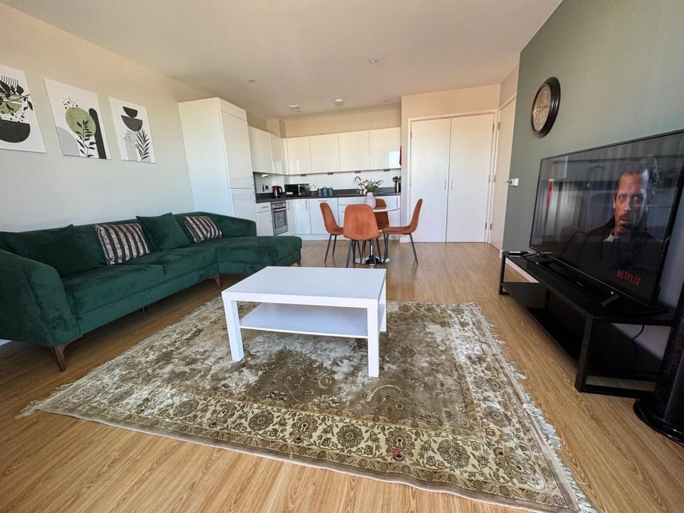 Living Room / Lounge