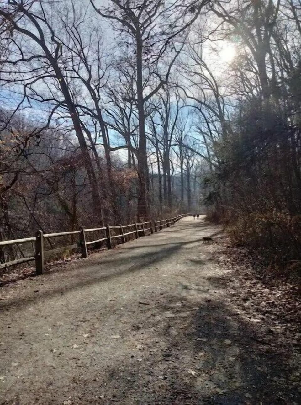 Nearby Wissahickon Park - Hiking and Mt Biking