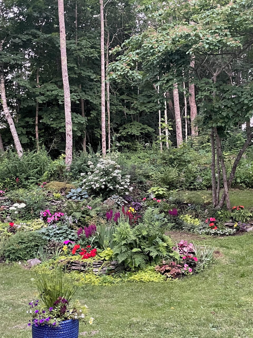 Garden view from deck. 