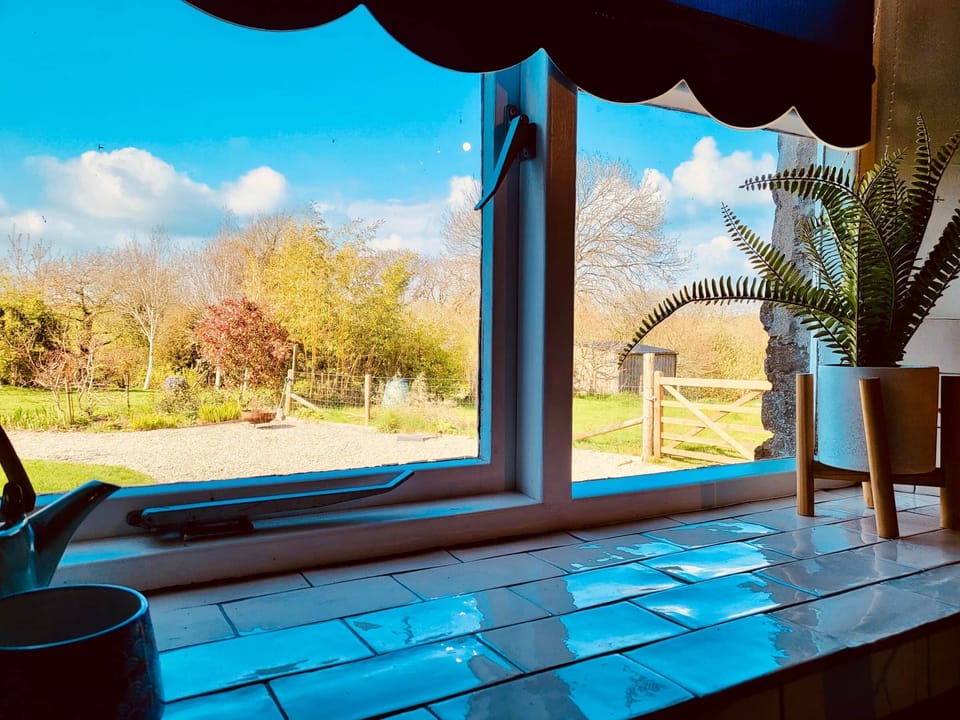 View from the kitchen