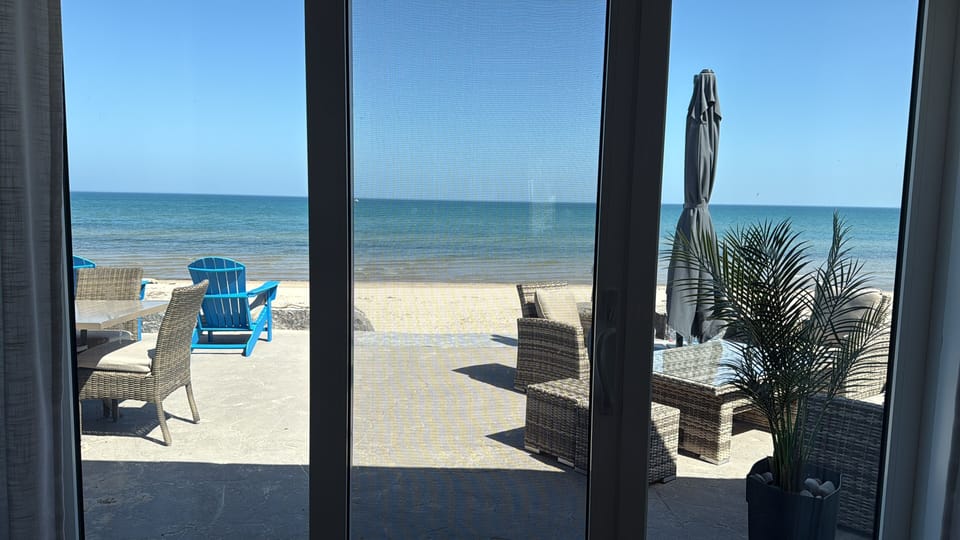 View from the kitchen table 