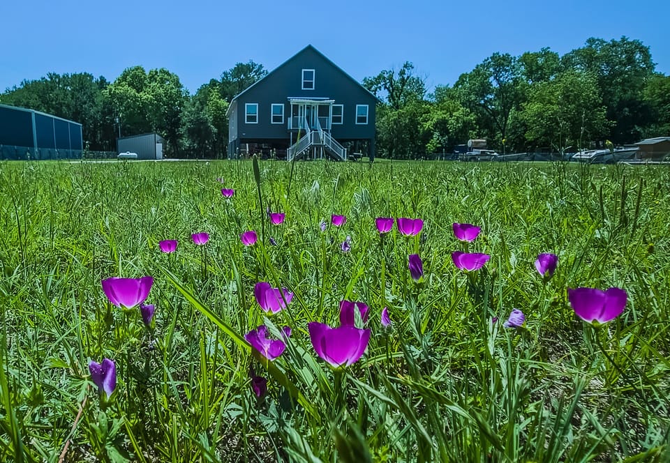 House, Main Entrance