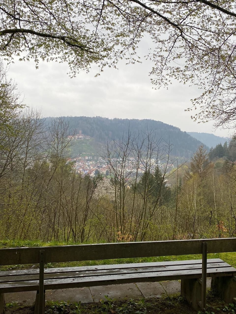 View from property